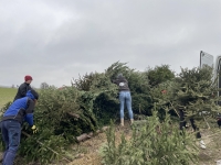 Christbaumsammelaktion 2025